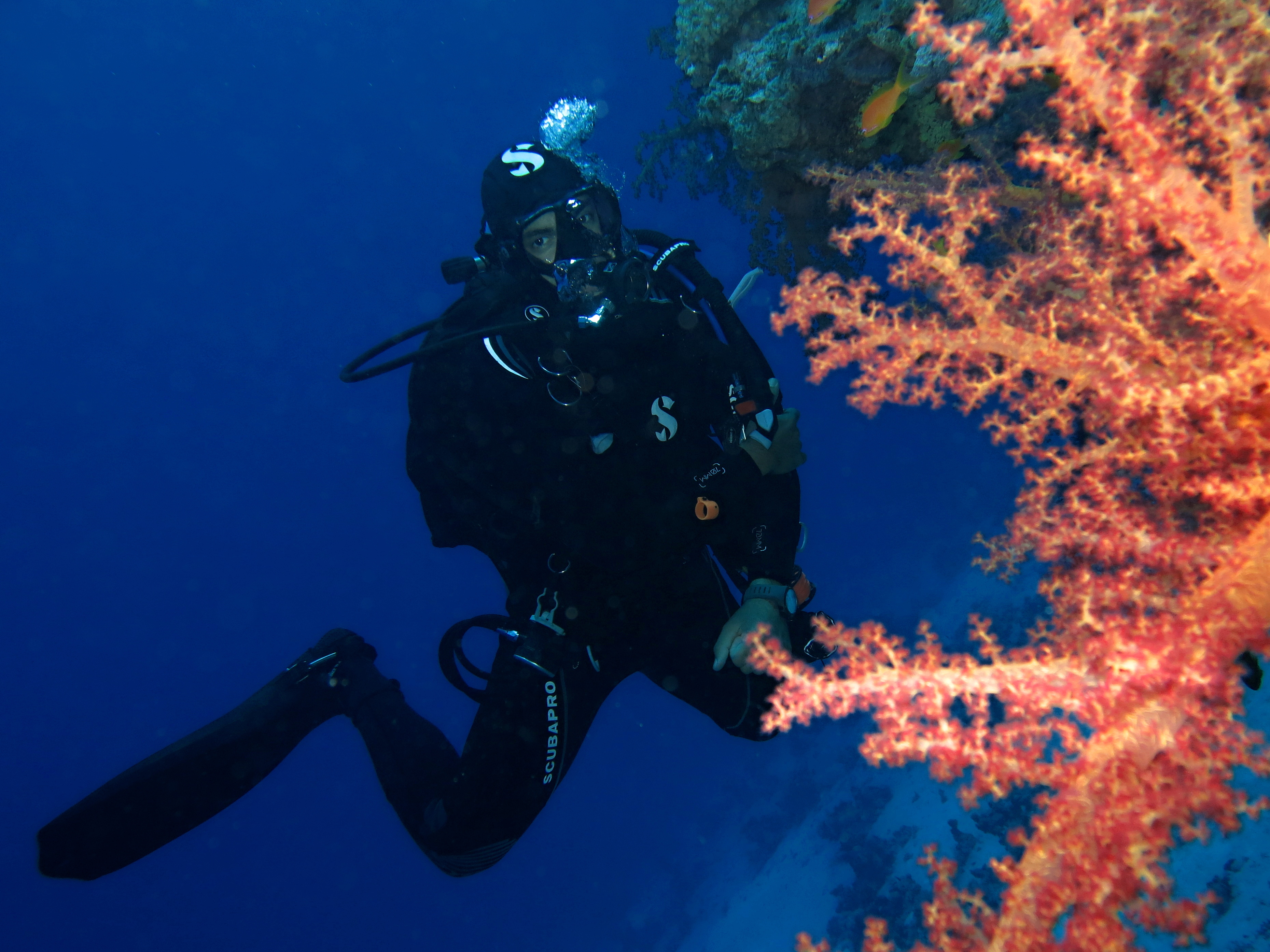 Diving Hurghada