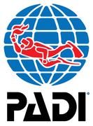 Padi