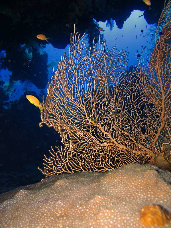 Hurghada potápění